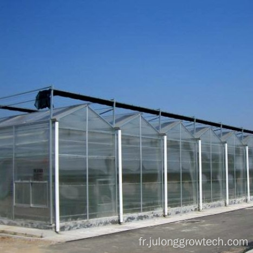 Hydroponics Agriculture Productive Agriculture Green Houses